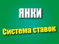 Система ставок Янки в букмекерских конторах